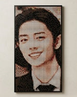 PixelPortrait™ 48×96 Custom Photo Mosaic Kit